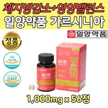 허벅지살 체지방 감소 영양제 가르시니아 다욧 보조제
