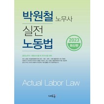 2023 실전 노동법:공인노무사·변호사시험 외 국가시험 대비, 새흐름