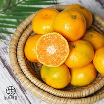 [돌담과수원] 제주 노지 감귤 9kg(소과), 단품