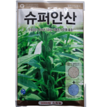 참깨씨앗 슈퍼안산참깨 3000립 2023년 포장, 3.밀성참깨 3000립