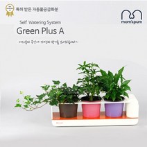 [RAΞ] 맘스품 무동력 자동급수시스템 화분+화초 시리즈_D세트)무 물순환 쿠아리 플라스틱 컬러 미니 인테리어 식물 공기정화식 식믈 청정식 ▷_8θ270eA, θ본상품w, ☆탁월한선택