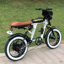 지디 이찬혁 전기 자전거 스쿠터 펫바이크, 상세 페이지 참고, 블랙 RX 18Ah/70-80km