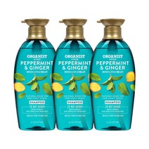 (신제품) 오가니스트 페퍼민트&진저+판테놀 샴푸, 3개, 500ml