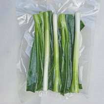 올바른새움푸드 국산100% 손질대파, 1개, 손질대파 500g