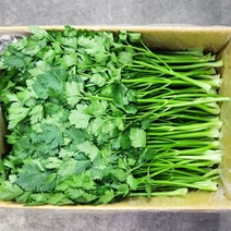 향나물 100g, 1개