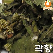 곽향 방아잎 배초향 효능 국산, 곽향300g, 1개