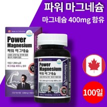 어린이 임산부 파워 마그네슘 약국 코스트코 산화 스테아린산 마그네슘 제제 에너지 영양제 100정 3개월 대용량