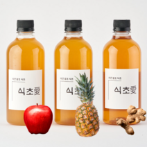 천연발효식초 다이어트발효식초 자연발효식초 식초다이어트 파인애플발효식초 사과발효식초 자연발효 비니거 발효식초 과일식초 천연식초, 파인애플식초500ml