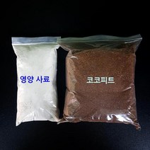 애완 달팽이 전용 영양 사료 - 달팽이키우기, 코코피트