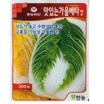 22년 맛있는가을베타 김장배추씨앗 300립 베타카로틴 항암성분 기능성 가을종자