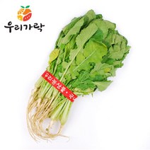 [우리가락] 열무 1단, 상세 설명 참조