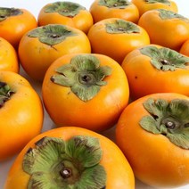 경남 창원 북면단감 3kg / 5kg / 10kg, 08.북면단감 5kg (21-23과내), 상세설명 참조