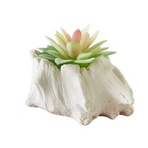 소품 꽃병 DIY 장식품 선인장 금형 세라믹 석고 인테리어 데코장식 화분 플라스틱 시멘트
