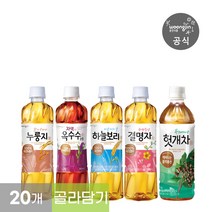 차음료 5종 모음 500mL 페트 20개(하늘보리 자색옥수수수염 결명자 누룽지 헛개차), 자색옥수수수염차 500mlx20