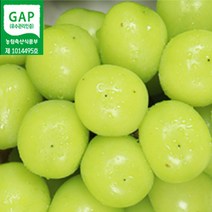 상주 샤인머스켓 씨없는 망고 포도 2kg 4kg, 2kg 3~4수(고급에어팩포장), 1개