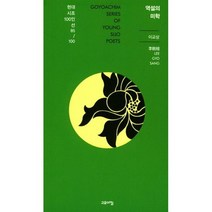 역설의 미학
