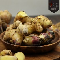 맛다름 국내산 흙생강 500g 봉, 1봉