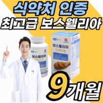 식약처 인증 인도산 보스웰리아 추출물 분말 알약 형태 정 보스 보수 보슬 웰실리아 벨리아 헬리아 월아 렐리아 웰리스 웰리아 윌리아 넬리아 렐리아 허리 손가락 무릅 무릎 관절 연골, 9개월 분, 1100mgX90정