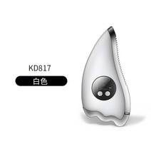 고주파리프팅 가정용 진동 전동 바디 얼굴 스킨 미용 탄력기기, 화이트