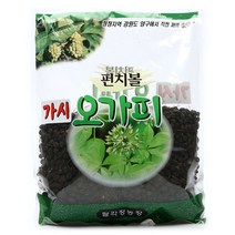펀치볼가시오가피 열매 오가피열매 2대째 강원도 농장직영, 1박스, 600g