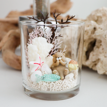 [테르테라] 수달 컵 테라리움 DIY 키트, 오픈형+3종세트