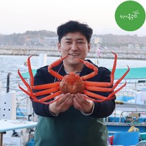 최고다농수산 홍게 산지직송 1kg 3kg 손질홍게 박달홍게 홍게도시락 자숙비용 무료, 프리미엄 홍게 3kg내외 6~9미 (생물)