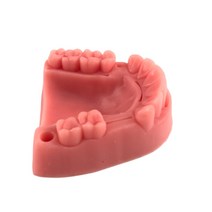 치과 봉합 실리콘 손모형 잇몸 이빨모형 임플라트 부드러운 치과모형, 단품