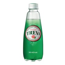 칠성 스파클링 탄산 제로 트레비 5종 자몽 에이드 무설탕 음료 300ml 20개, 1세트