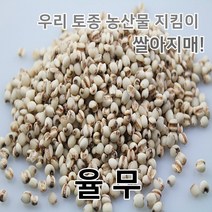 2022년 국산 율무 의이인 율무쌀, 1개, 500g