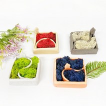 복지관 스칸디아모스 제주 돌담집 DIY 만들기세트 교재 교보재 공예, 1개, 봄