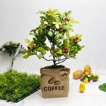 커피 나무 조화 화분 인조 원두 마대자루 장식품 인테리어 소품 디자인 아이디어 상품