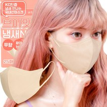 에어에이드 브이핏 국내생산 새부리형마스크 숨쉬기편한 일회용마스크 컬러마스크 중형 대형 마스크, 2개