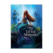 인어공주 미국발송 DVD