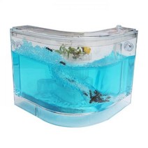 DS 개미집 개미관찰 ㄱ자형하우스 곤충키우기 개미키우기