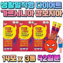탄수화물 관리 기능성 원료 HCA 1400mg 비타민B군 배변활동 원활 활성산소 관리 난소화성말토덱스트린 카르니틴 와일드망고 추출물 셀룰라이트 분해 하복부 지방분해 고 콜레스테롤