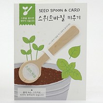 스위트 바질 키우기 서울주말농장 생 스마트팜교육 스윗 씨앗 식용꽃 씨드스푼
