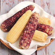 푸르젠 김동식님의 삶은 냉동 흑찰옥수수 12개입(4개씩 포장 13~15cm), 단품없음