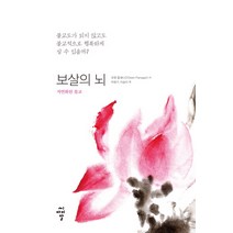 보살의 뇌:자연화된 불교, 씨아이알