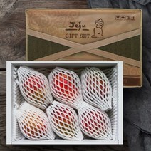 [올찬] 제주 애플망고 선물세트 (왕특대)3kg 5~6과 (제주직송), 단품