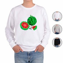 ATOGATO 블럭 수박 맞춤 맨투맨