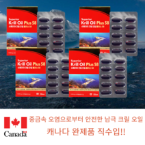 캐나다 완제품 남극 청정 중금속 오염 안전 크릴 오일 인지질 580mg 60캡슐 4개