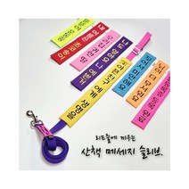 (초코송이네 커스텀)강아지 산책 메세지 슬리브, 1