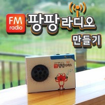 팡팡 FM 라디오 만들기/과학 실험 키트 교구 도구 만들기, 단품