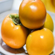 [춘식이네천기농장] 창원 산지직송단감 5Kg, 5Kg (24-27과)