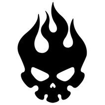 FIRE SKULL 불꽃 해골 스티커 (낱개 1개), 블루