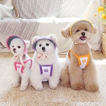 오드펫 썬캡[ODD PET] 강아지 또또또또UV 체크 썬캡 (6종류), 오렌지(오즈)