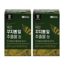 비디컬 국산 꾸지뽕 잎 추출물 매스틱 추출분말 정 매실, 2박스(2개월분), 2개