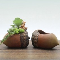 귀여운 도토리 다육화분, 화분만