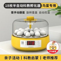 유정란부화기 교육용 실험용 부화기 병아리 키우기, 18구 반자동(새알용)