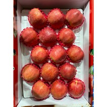 명품 홍로 사과 추석 선물세트, 실속 선물세트 대과 5kg(11~13과)